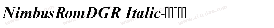 NimbusRomDGR Italic字体转换